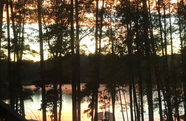 Relaxing water front home on Lake Hartwell, S.C. Beautiful sunsets. Pet friendly