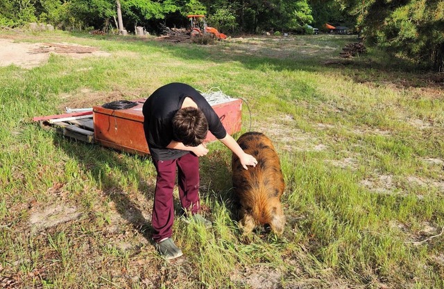 10 Person Tent Cabin Rental @ The Fabulous Bok Vegas Petting Zoo