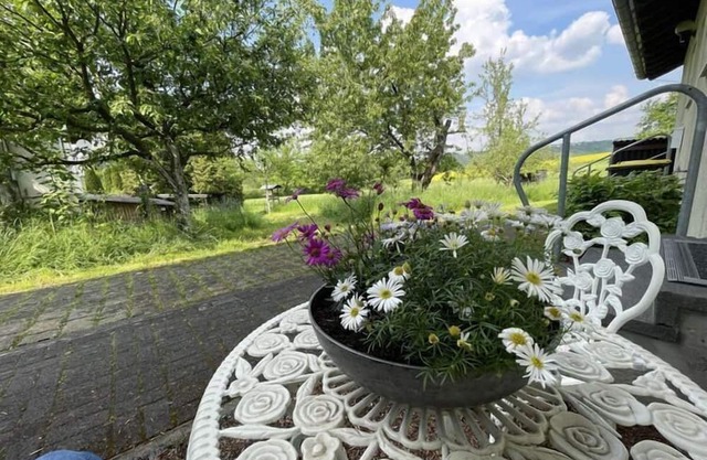 Holiday apartment Rhein Traum 5a