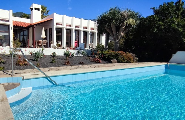 Bauhaus Meets Cactus