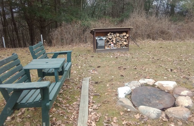 Rustic sanctuary surrounded by pines, deer and wildlife but close to everything!