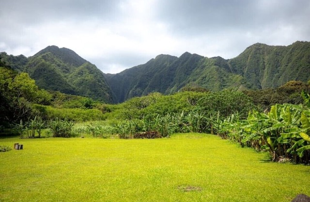 Hawaii Oasis Yurt