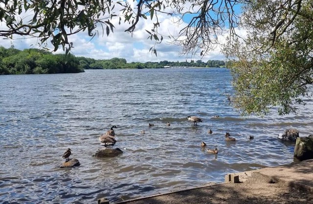 The Pennington Apartment Next to Sports Village