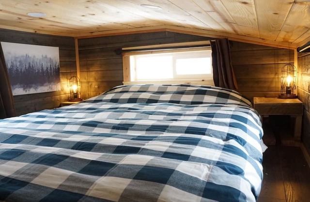 Tiny Cabin, Cozy in the Mountains - Pine Grove, Colorado