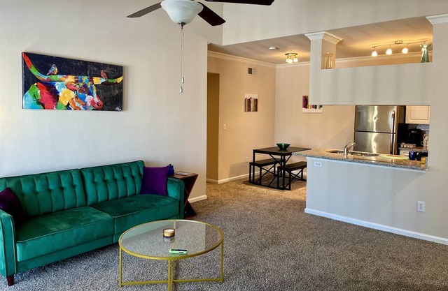 Charming Apartment - Grapevine, TX