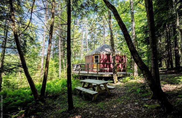 Ecological, intimate and immersive yurt: Le Lièvre
