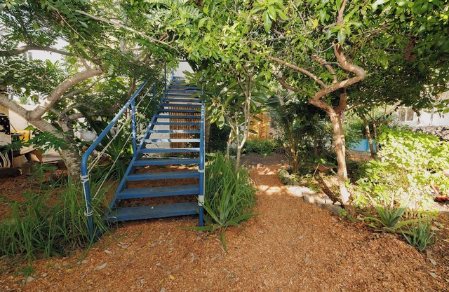 Darwins Ecosuite on the way to Tortuga bay - great location, quiet and natural