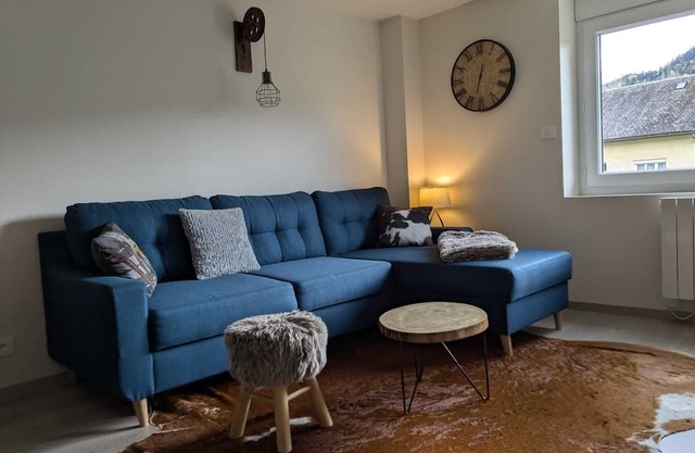 Ground floor apartment with garden Oréade Sancy furnished tourism *