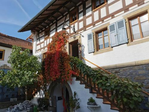 Casa Rose Pere