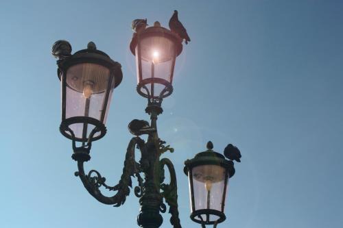Luxhaven Venice B&B