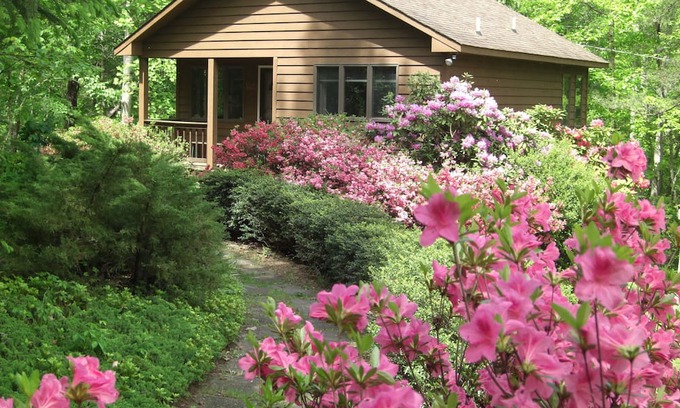 Dyke Cabin | Creek House