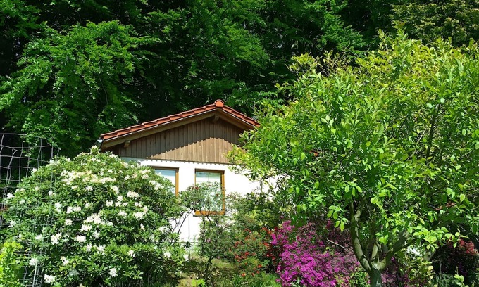 Steina House | Holiday Home by the Forest with South-Facing View