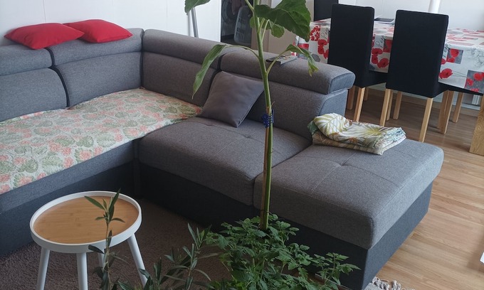 Clos des Roses Apartment | Spacious, fully-equipped apartment 5 minutes from the center and château of Compiègne
