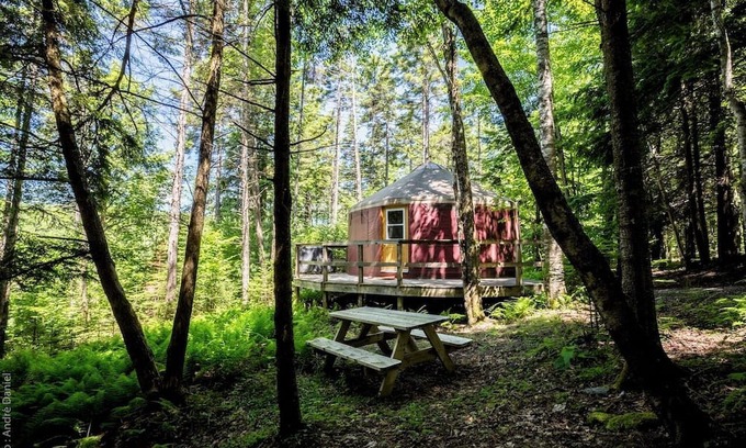 Saint-Etienne-De-Bolto Cabin | Ecological, intimate and immersive yurt: Le Lièvre