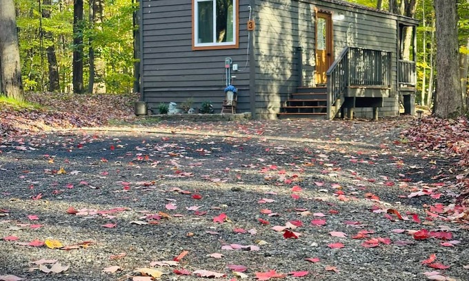 Birch Run Township House | Unit 3 Lodge Cabin (no pets allowed)